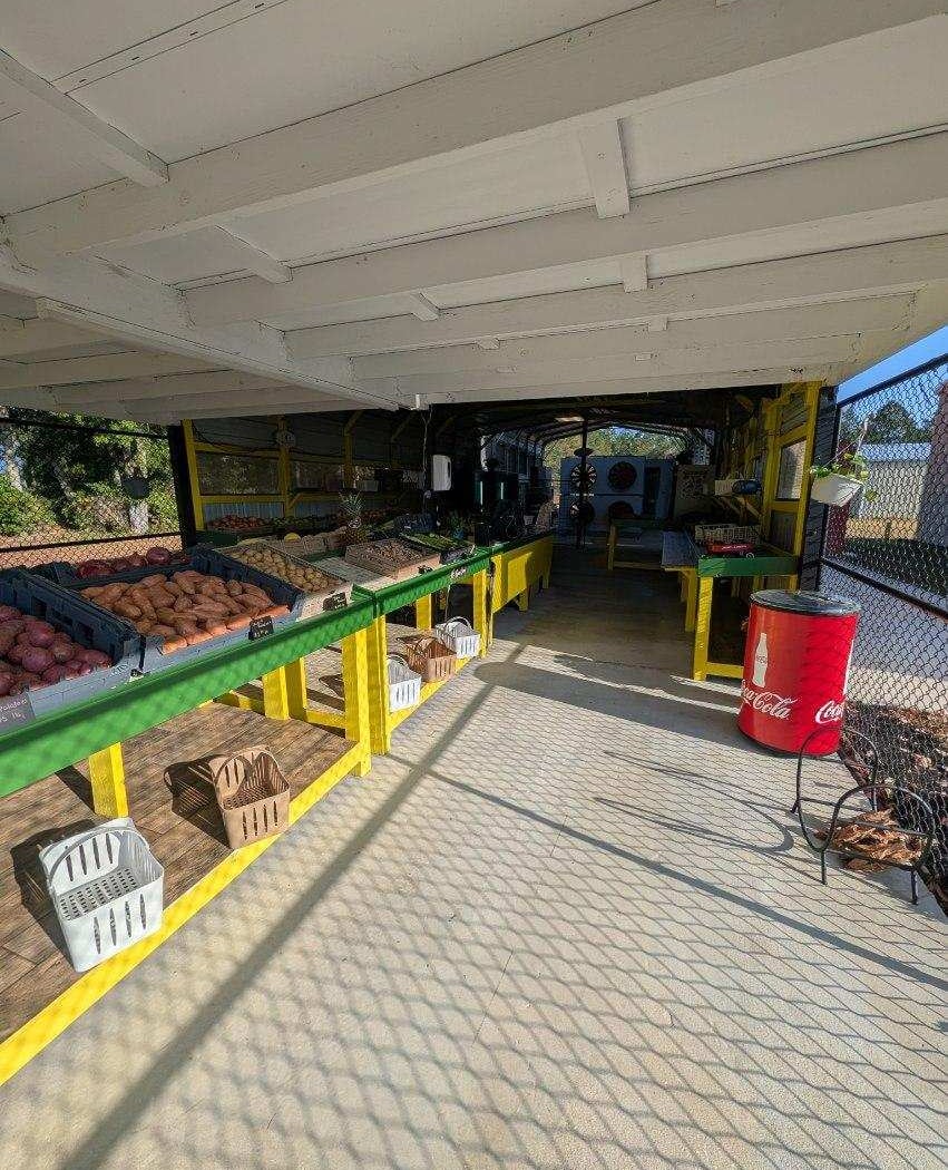 Camden County Market 1